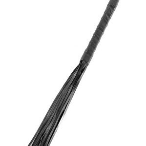 Fetish Fantasy Series First Time Flogger