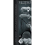 Fetish Fantasy Series Limited Edition Lover's Fantasy Kit