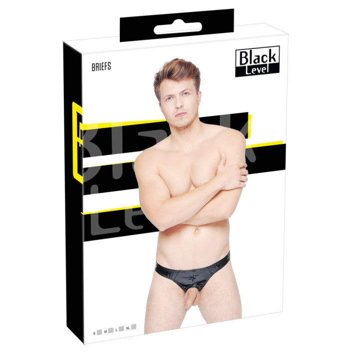 Vinyl M. Briefs Showm.