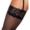 Stockings black