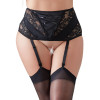 Suspender Belt