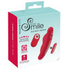 Sweet Smile Magnetic Panty Vib