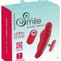 Sweet Smile Magnetic Panty Vib